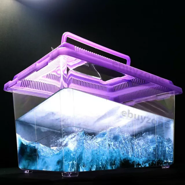 One Gallon Aquarium Fish Tank or 10.6" x 6.7" x 6.7" Insect Gathering Container