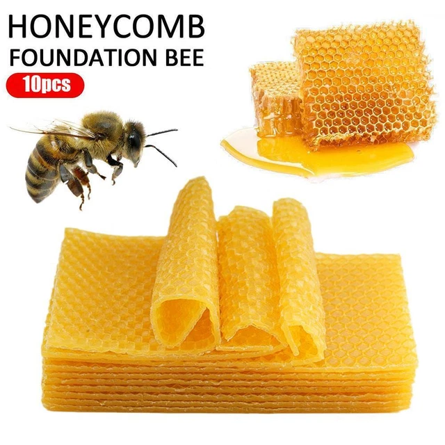10x Beekeeping Honeycomb Foundation Wax Frame Honey Equipment Tool Hive B2P4