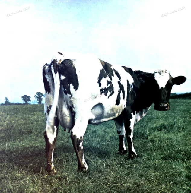 Pink Floyd - Atom Heart Mother UK LP 1976 FOC (VG+/VG) Harvest SHVL 781 .