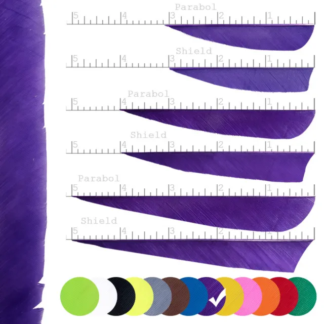 20er Set BSW Solid - Naturfeder - einfarbig - 2 Zoll Parabol Violett - Pfeil Bau