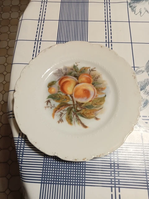 2 Broches Anciennes Limoges Porcelaine + 2 Plaques – Occasion Multicolore Doré