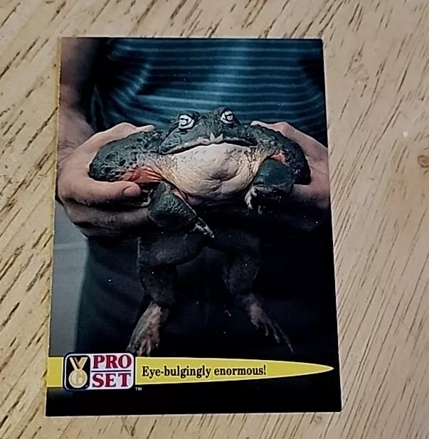 Vintage 1992 Trading Card Guinness Book Of World's Record Largest Toad