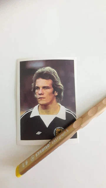 Bergmann Sammelbilder Fußball WM 78,GREY Schottland Sticker Nr.300,no Panini RAR