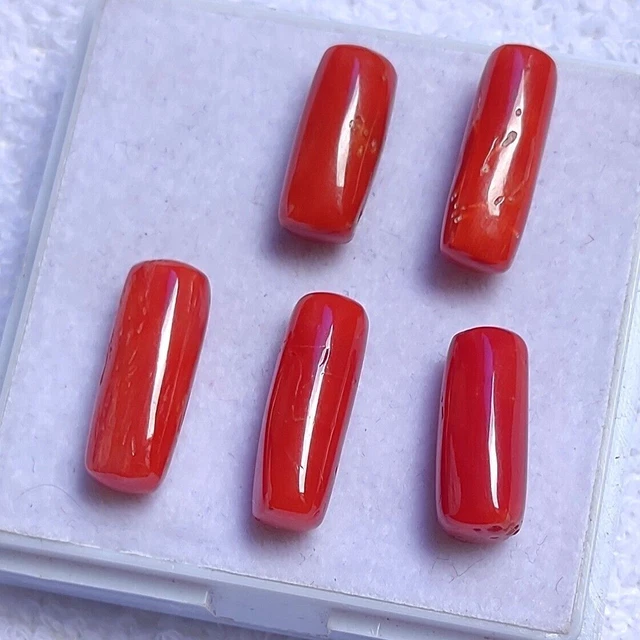 Cabochon de corail italien naturel de qualité AAA+, pierres précieuses en...