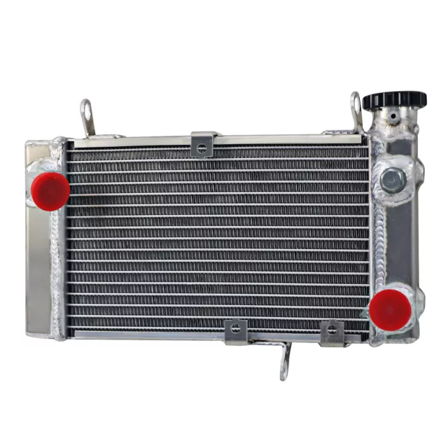 Aluminium Racing Radiator For 99-02 2000 2001 Suzuki SV650 SV 650 SV650S