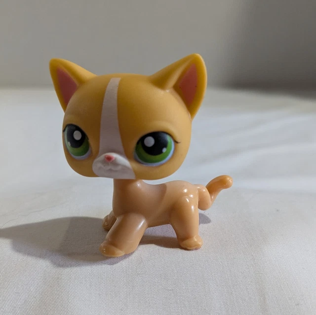 Figurine Littlest Pet Shop 852 – Chat Shorthair Européen Authentique Hasbro