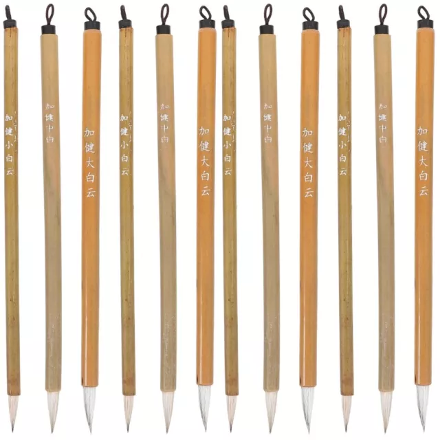 12 Pcs Stylo D'écriture Baiyun Jianhao Stylos À Encre Pinceau