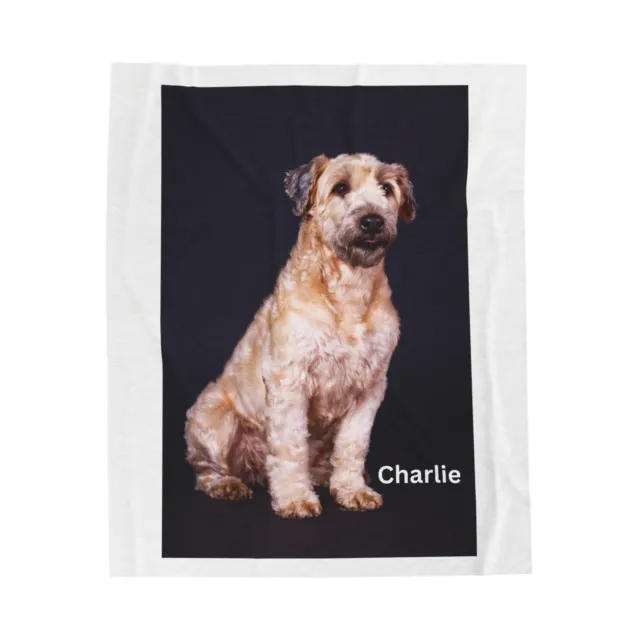 Soft Coated Wheaten Terrier Custom Blanket Personalized Gift 30x40 50x60 60x80