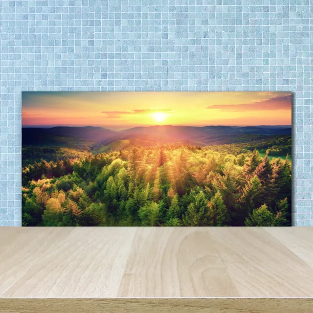 Panel de Cocina Único Vidrio Templado 4mm Pegamento Gratis 100x50 Bosque Sunset