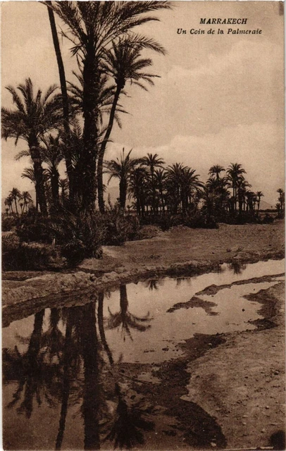 CPA Maroc MARRAKESH - Un coin de la Palmeraie (219863)