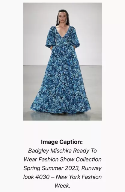 $1200 Badgley Mischka RUNWAY Collection Floral Print Puff Sleeve Maxi Gown