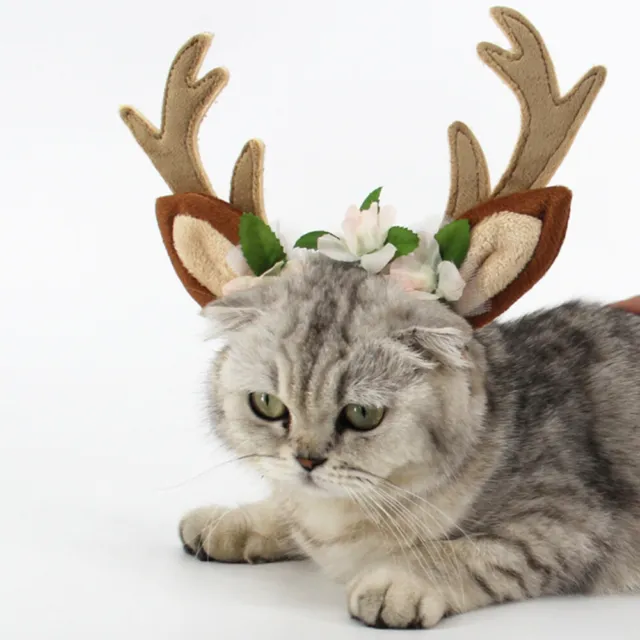 Copricapo Per Gatti Delle Vacanze Animali Domestici Di Natale
