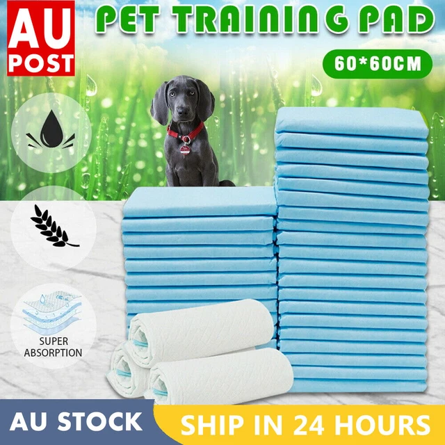 Pet Training Pads 400/200 Puppy Dog Toilet Pee Indoor Super Absorbent 60x60cm AU