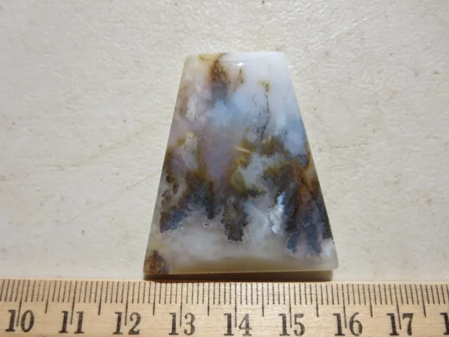 842  Graveyard Point Plume Agate Cab.  Beautiful Marcasite Plumes.  Ex Old Store