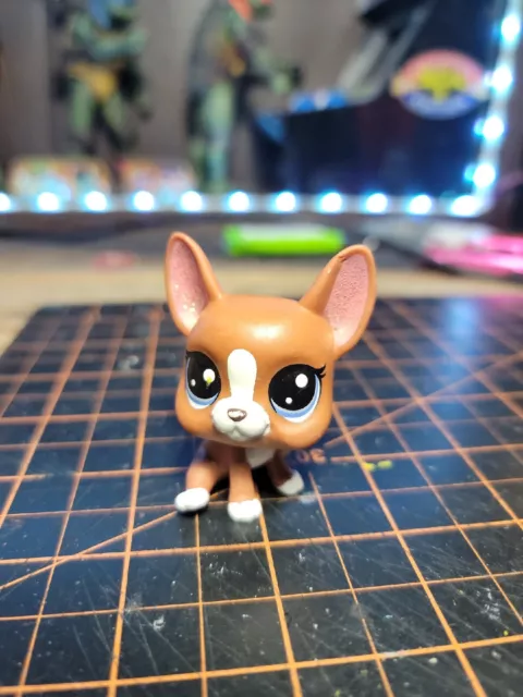 LPS Littlest Pet Shop Sitting French Bulldog Puppy Dog Brown and Tan