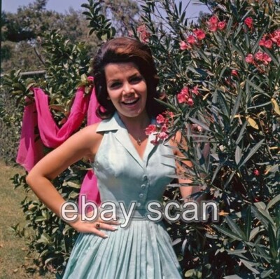 ACTRESS SINGER ANNETTE Funicello Leggy Cheesecake 8X10 Photo 111 £16.01 ...