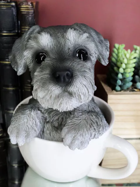 EBROS Mini Schnauzer Dog In Teacup Statue 5.75" Tall Figurine Pet Decor