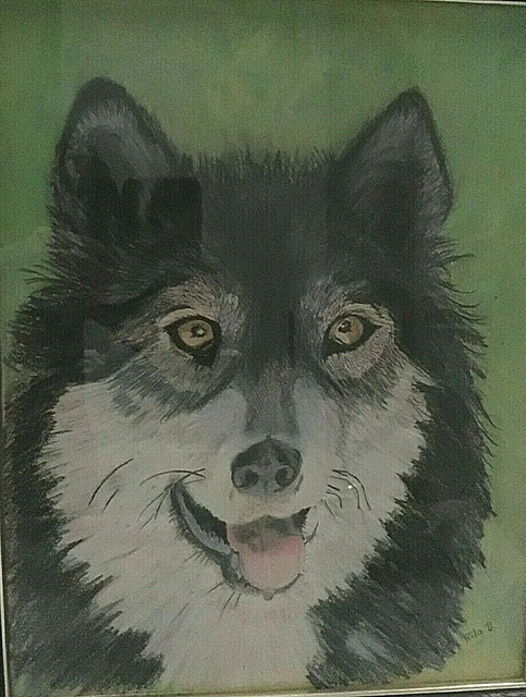 Wolf Husky Painting Original Oil Pastels Signed Rita D 1986 Realistic