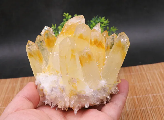 530g New Find Yellow Phantom Quartz Crystal Cluster Mineral Specimen