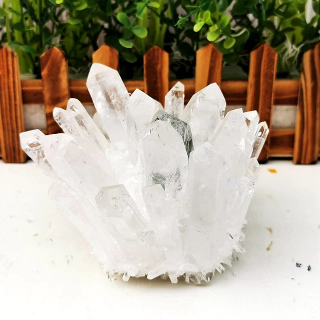 2.04LB New Find White  Phantom Quartz Crystal Cluster Mineral Specimen Healing