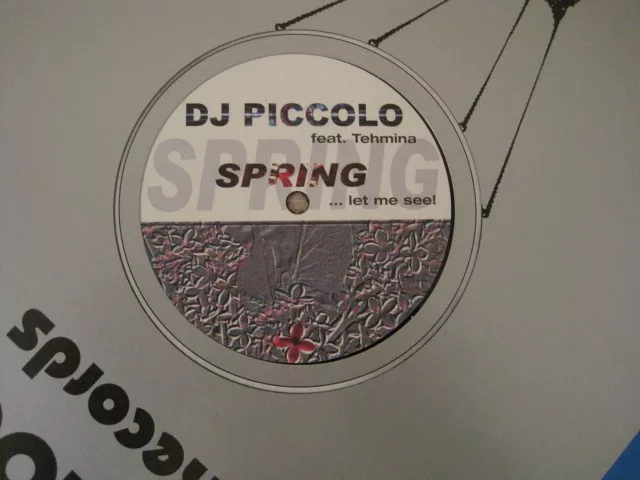 Maxi Vinyl - DJ Piccolo feat. Tehmina  - Spring … let me see!, Zustand EX+