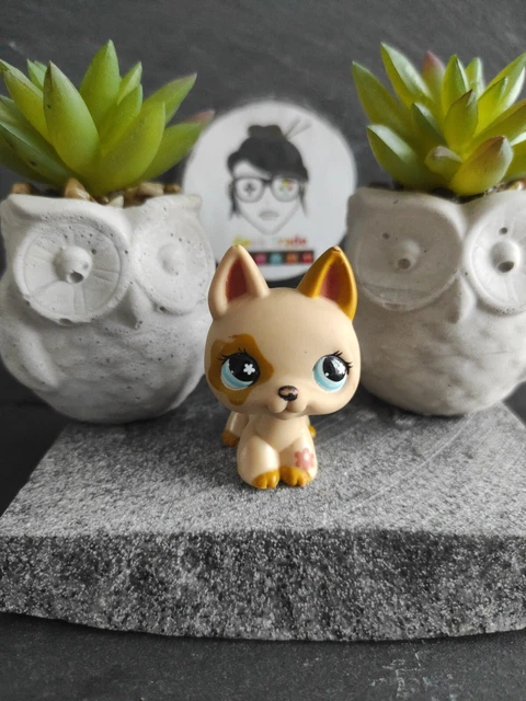 Littlest Pet Shop – Chien Berger Allemand #112 + Accessoires Vétérinaire (occasion)
