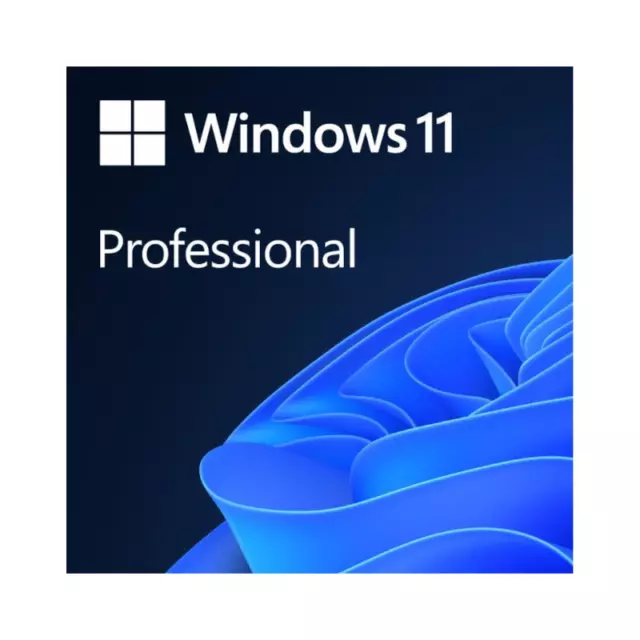 Windows 11 Pro 64Bit English Intl DSP OEI DVD