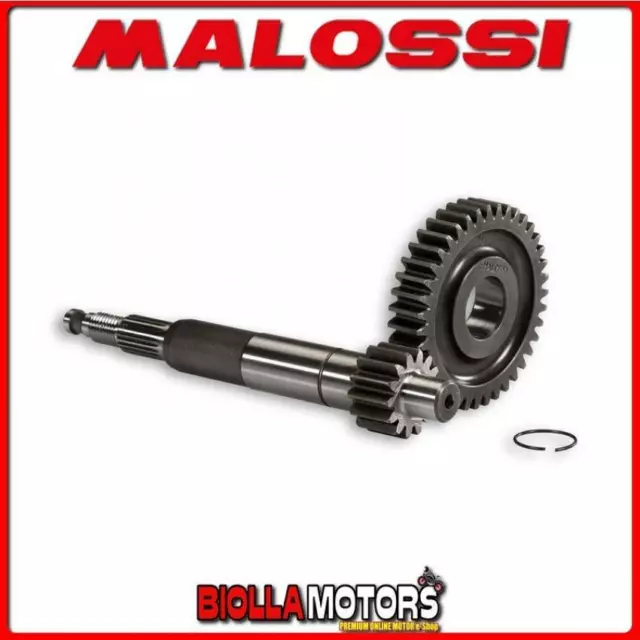 679080 Ingranaggi Rapporti Primari Malossi Z 14 / 39 Malossi C-One 5715844 50 2T