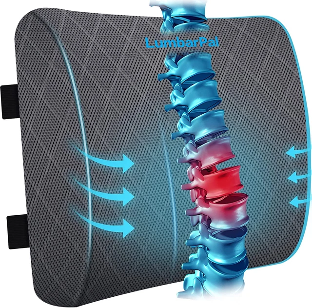 Lower Back Lumbar Support Pillow Cushion Memory Foam Car Seat Pain Relief Chair