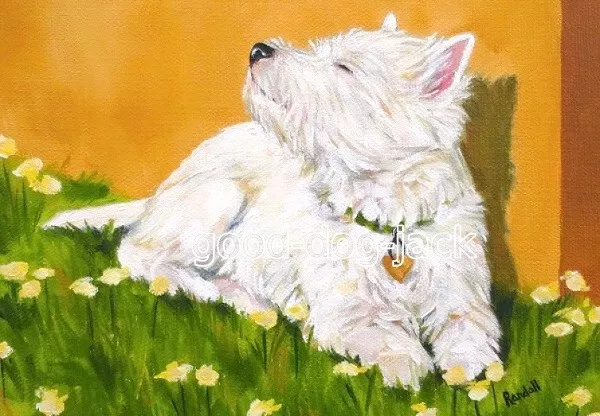 Westie Print 4x6 Matted ACEO "Sun Worshiper" West Highland White Terrier Randall