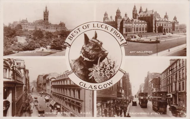 Scotty Dog Multiview, GLASGOW, Lanarkshire RP