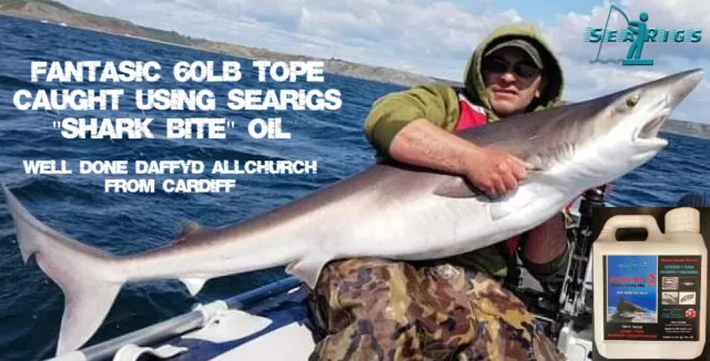 TUNA SALMON MACKEREL - 100% Pure Fish Oil Shark Fishing Bait Top -Tope  -Trap £15.95 - PicClick UK