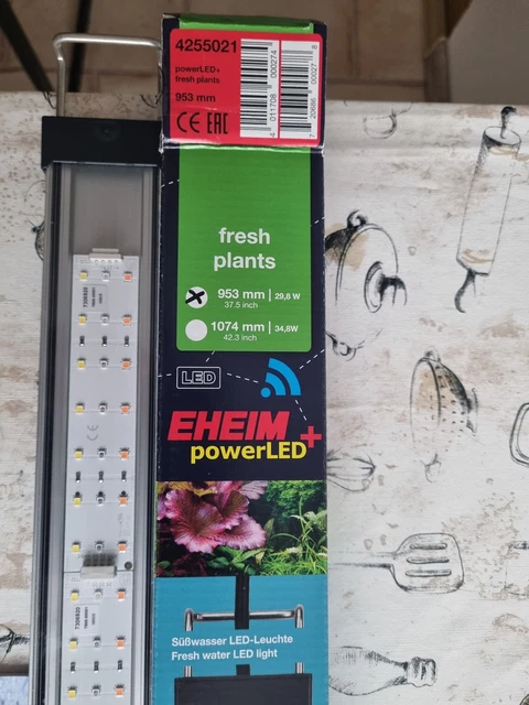 garden plants seeds 15 Certified Organic Herb Seeds Variety Pack (4X More) 10,000+ Non GMO Seeds for Planting Indoor Herb Garden or Outdoor Herb Gar