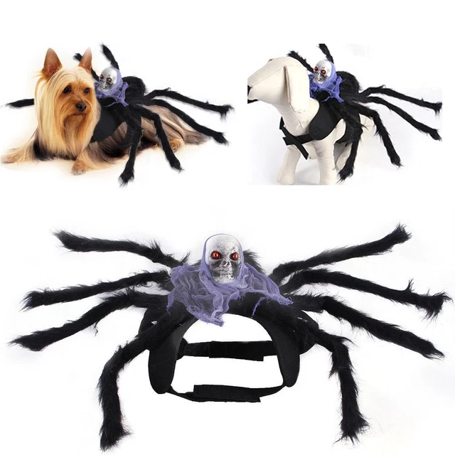 Abbigliamento cosplay Halloween ragno nero animale domestico-abbigliamento ragno teschio