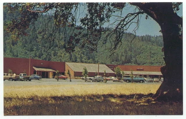 Hoopa Valley Shopping Center Hoopa CA Postcard California