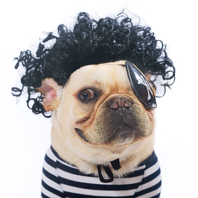 Animales Peluca Accesorios Pelucas de Mascotas Tocados Gato Perro Acogedor