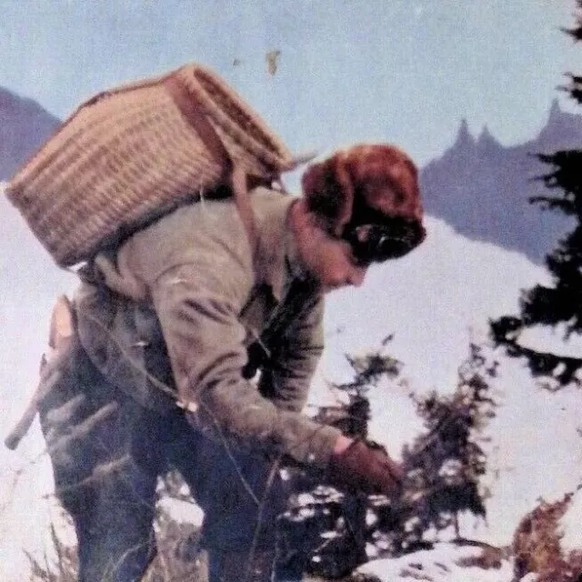 Marten Trapping In Sierras | California Goose Hunt - Fur-Fish-Game Jan 1938