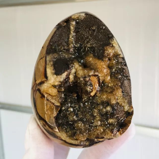 535G Natural Septarian Dragon Crystal Gem Geode Mineral Specimens Stone G110