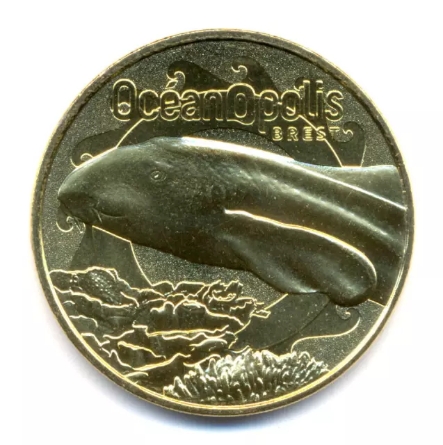 29 BREST Océanopolis, Requin-zèbre, 2022, Monnaie de Paris