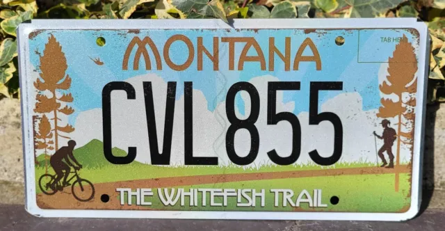 Plaque d'immatriculation Montana CVL855 USA License Plate - Whitefish Trail