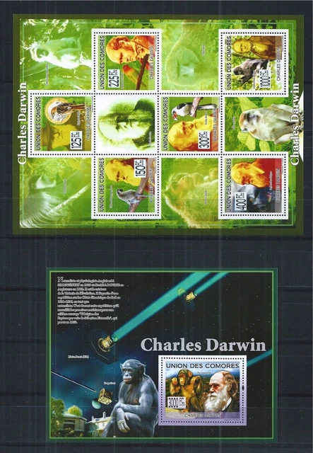 Komoren Komoren 2009 Set Minr: 2224 - 29 Block 490 Charles Darwin Flora Fauna