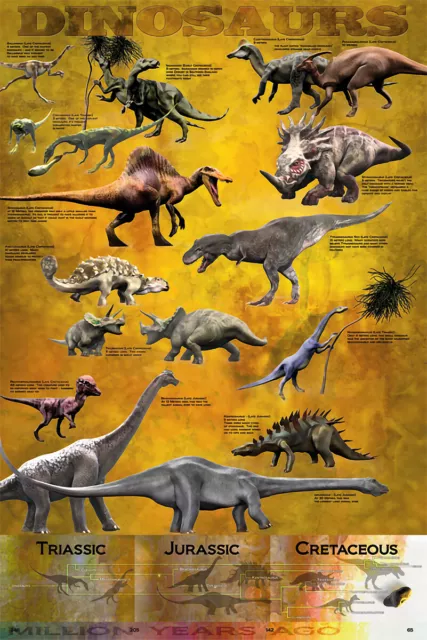 DINOSAUR POSTER (61x91cm) PREHISTORIC EDUCATIONAL PICTURE PRINT WALL CHART ART