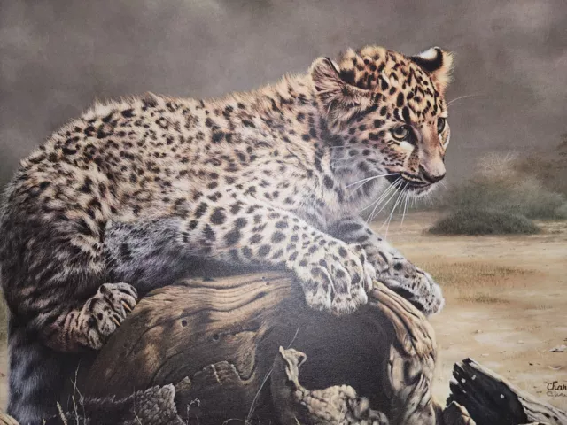 Leopard Cub By Charles Frace Limited Edition  #461/2000  Print @1975