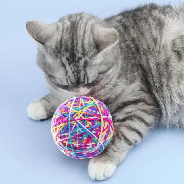 Kitty Ball jouet chat pompon balles exercice hochet balle pour Kitty lapin