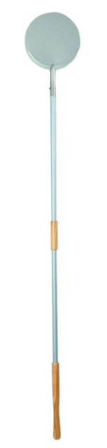 Pelle en Acier Inoxydable Pour Pizza Diamètre 25 CM Avec Manche