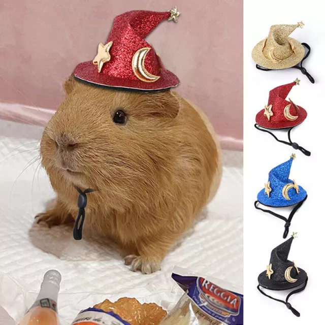 Petits Chapeaux Pour Animaux De Compagnie Chapeaux De Hamster Chinchillas ₣