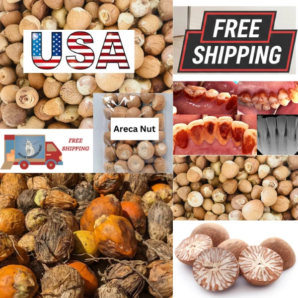 5pcs Dried Areca Betel Nut With Limestone Paste – Sri Lanka, Organic, Caffeine Free, Mendi