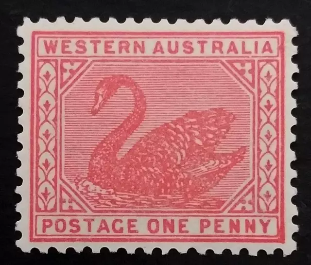 ACSC W13A - 1905 Western Australia 1d Rose-Red One Penny Swan Stamp MVLH - L33