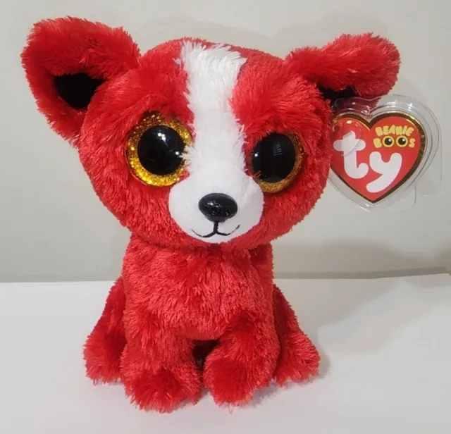 Ty Beanie Boos - LOY the Akita Dog (6 Inch)(2020 Japan Exclusive) NEW MWMT