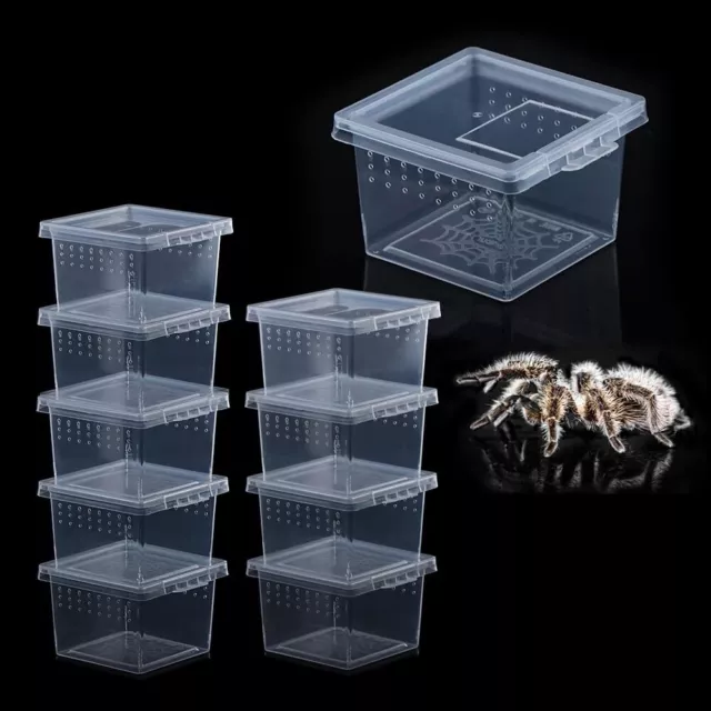 10x Kleine Quadratische Box Terrarium Reptil Spinnenboxen Zuchtspinne Kunststoff Exo